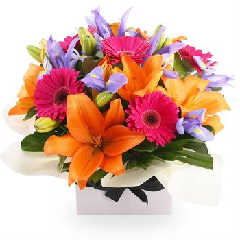 Seasonal Bright Box Flowers