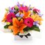 Seasonal Bright Box Flowers