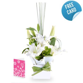 White Whisper with Card Flowers