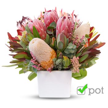 Australian Palette Flowers