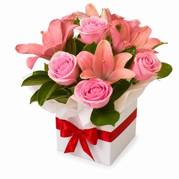 Rosy Dancer Flowers