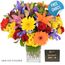 Starburst Bouquet with Chocs Flowers