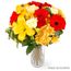 Colourful Vase Flowers