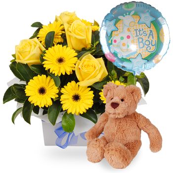 Baby Boy Package Flowers