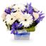 Baby Boy Seasonal Box Flowers