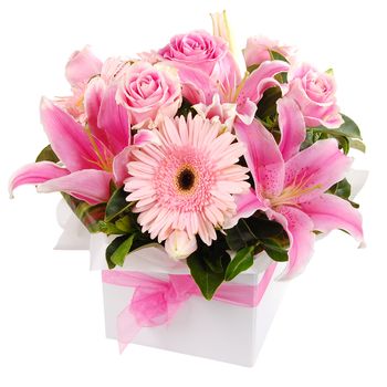 Powder Pink Flowers