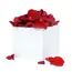 Rose Petals