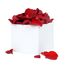 Red Rose Petals