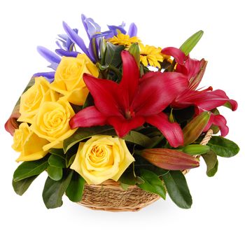Bright Modern Basket Flowers
