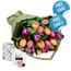 Bright Tulips Bouquet with Chocs and Card Flowers
