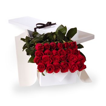Valentine's Day Flat Boxed Roses Two Dozen Red Flowers