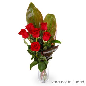 Bouquet of Roses Half Dozen Red Flowers