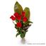 Bouquet of Roses Half Dozen Red Flowers