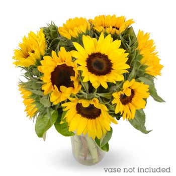 Sunny Bliss Flowers