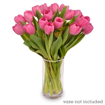 Pink Sorbet Flowers