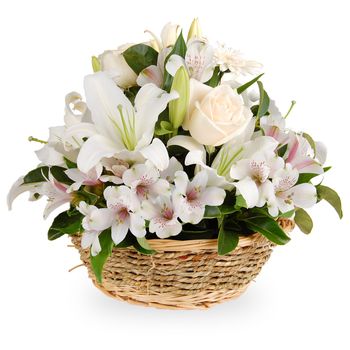 Pure Freshness Flowers