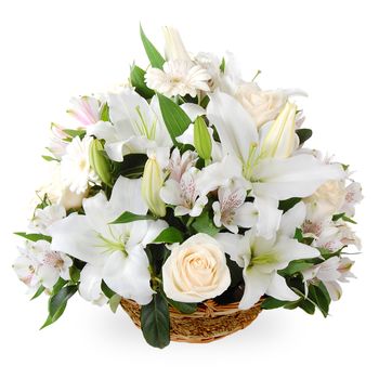 White Flower Basket Flowers